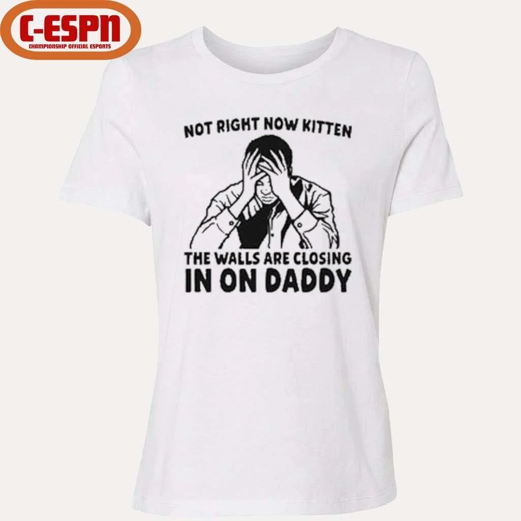 Not Right Now Kitten The Walls Are Closing In On Daddy T-Shirt