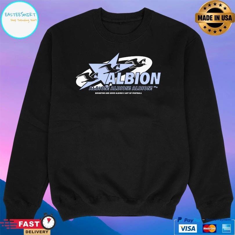 Albion Brighton And Hove Albion X Art Of Football T-shirt