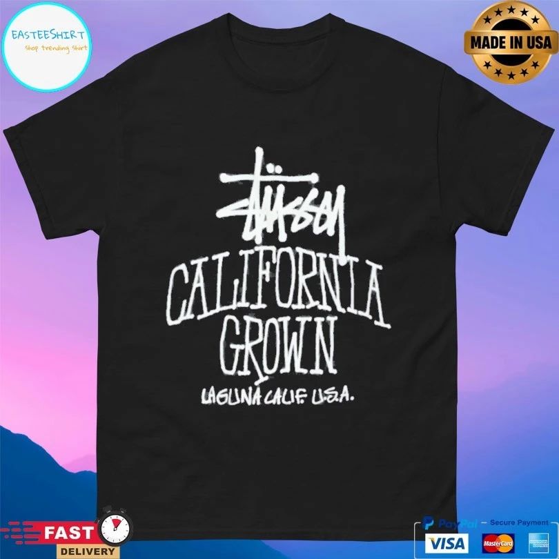 Stussy California Grown Laguna Calif USA T-shirt